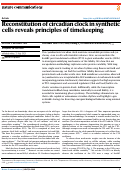 Cover page of Reconstitution of circadian clock in synthetic cells reveals principles of timekeeping