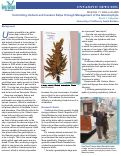 Cover page: Controlling Undaria and Invasive Kelps through Management of the Gametophyte