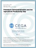 Cover page of Premature Deindustrialization and the Agricultural Productivity Gap