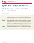 Cover page: Surface Lin28A expression consistent with cellular stress parallels indicators of senescence.