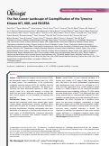 Cover page: The Pan‐Cancer Landscape of Coamplification of the Tyrosine Kinases KIT, KDR, and PDGFRA