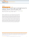 Cover page: A genetically encoded single-wavelength sensor for imaging cytosolic and cell surface ATP