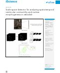 Cover page: Scale space detector for analyzing spatiotemporal ventricular contractility and nuclear morphogenesis in zebrafish