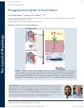 Cover page: Drugging transcription in heart failure.