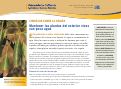Cover page of Consejos sobre la sequía: Mantener las plantas del exterior vivas con poco agua