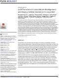 Cover page: CsIVP functions in vasculature development and downy mildew resistance in cucumber