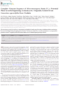 Cover page: Complete Genome Sequence of Micromonospora Strain L5, a Potential Plant-Growth-Regulating Actinomycete, Originally Isolated from Casuarina equisetifolia Root Nodules