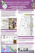 Cover page of Systematics of California’s critically endangered Nipomo lupine (<em>Lupinus nipomensis</em>)