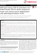 Cover page: Wild type human TDP-43 potentiates ALS-linked mutant TDP-43 driven progressive motor and cortical neuron degeneration with pathological features of ALS