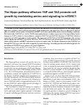Cover page: The Hippo pathway effectors YAP and TAZ promote cell growth by modulating amino acid signaling to mTORC1