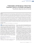 Cover page: Polymorphism and Divergence of Novel Gene Expression Patterns in Drosophila melanogaster