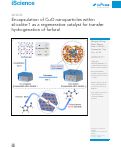 Cover page: Encapsulation of CuO nanoparticles within silicalite-1 as a regenerative catalyst for transfer hydrogenation of furfural