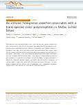 Cover page: An intronic transposon insertion associates with a trans-species color polymorphism in Midas cichlid fishes.