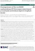 Cover page: Overexpression of the rice BAHD acyltransferase AT10 increases xylan-bound p-coumarate and reduces lignin in Sorghum bicolor