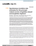 Cover page: Spontaneous mutation rate estimates for the principal malaria vectors Anopheles coluzzii and Anopheles stephensi