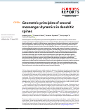 Cover page: Geometric principles of second messenger dynamics in dendritic spines