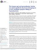 Cover page: The human gut and groundwater harbor non-photosynthetic bacteria belonging to a new candidate phylum sibling to Cyanobacteria