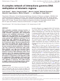 Cover page: A complex network of interactions governs DNA methylation at telomeric regions