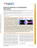 Cover page: Bacterial Networks on Hydrophobic Micropillars