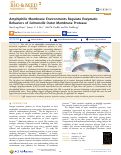 Cover page: Amphiphilic Membrane Environments Regulate Enzymatic Behaviors of Salmonella Outer Membrane Protease