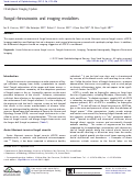 Cover page: Fungal rhinosinusitis and imaging modalities