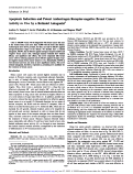 Cover page: Apoptosis induction and potent antiestrogen receptor-negative breast cancer activity in vivo by a retinoid antagonist.