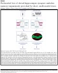 Cover page: Preferential loss of dorsal-hippocampus synapses underlies memory impairments provoked by short, multi-modal stress