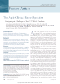 Cover page: The Agile Clinical Nurse Specialist