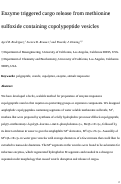 Cover page: Enzyme-Triggered Cargo Release from Methionine Sulfoxide Containing Copolypeptide Vesicles