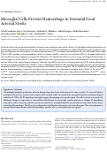 Cover page: Microglial Cells Prevent Hemorrhage in Neonatal Focal Arterial Stroke