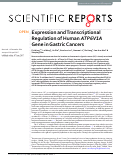 Cover page: Expression and Transcriptional Regulation of Human ATP6V1A Gene in Gastric Cancers