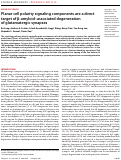 Cover page: Planar cell polarity signaling components are a direct target of β-amyloid–associated degeneration of glutamatergic synapses