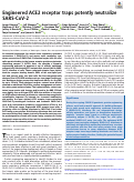 Cover page: Engineered ACE2 receptor traps potently neutralize SARS-CoV-2