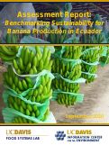 Cover page of Assessment Report: Benchmarking Sustainability for Banana Production in Ecuador