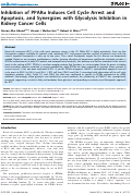 Cover page: Inhibition of PPARα Induces Cell Cycle Arrest and Apoptosis, and Synergizes with Glycolysis Inhibition in Kidney Cancer Cells