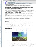 Cover page: Dual-pathway chain-end modification of RAFT polymers using visible light and metal-free conditions.