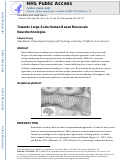 Cover page: Towards Large-Scale, Human-Based, Mesoscopic Neurotechnologies