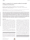 Cover page: Skap2 is required for β2 integrin–mediated neutrophil recruitment and functions