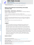 Cover page: Minute-scale periodicity of neuronal firing in the human entorhinal cortex.