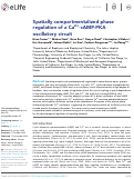 Cover page: Spatially compartmentalized phase regulation of a Ca2+-cAMP-PKA oscillatory circuit