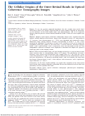 Cover page: The Cellular Origins of the Outer Retinal Bands in Optical Coherence Tomography ImagesCellular Origins of the OCT Outer Retinal Bands