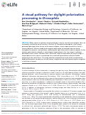 Cover page: A visual pathway for skylight polarization processing in Drosophila