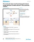 Cover page: The molecular basis of pH sensing by the human fungal pathogen <i>Candida albicans</i> TOK potassium channel.