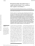 Cover page: Phosphoinositide-dependent kinase 1 targets protein kinase A in a pathway that regulates interleukin 4