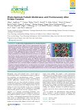 Cover page: Phytochemicals Perturb Membranes and Promiscuously Alter Protein Function