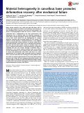 Cover page: Material heterogeneity in cancellous bone promotes deformation recovery after mechanical failure