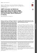 Cover page: AMPK Activation by Metformin Suppresses Abnormal Extracellular Matrix Remodeling in Adipose Tissue and Ameliorates Insulin Resistance in Obesity.