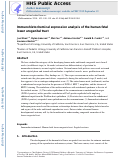 Cover page: Immunohistochemical expression analysis of the human fetal lower urogenital tract