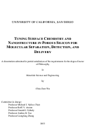 Cover page: Tuning surface chemistry and nanostructure in porous silicon for molecular separation, detection and delivery /