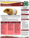 Cover page: 4-H Cavy Project